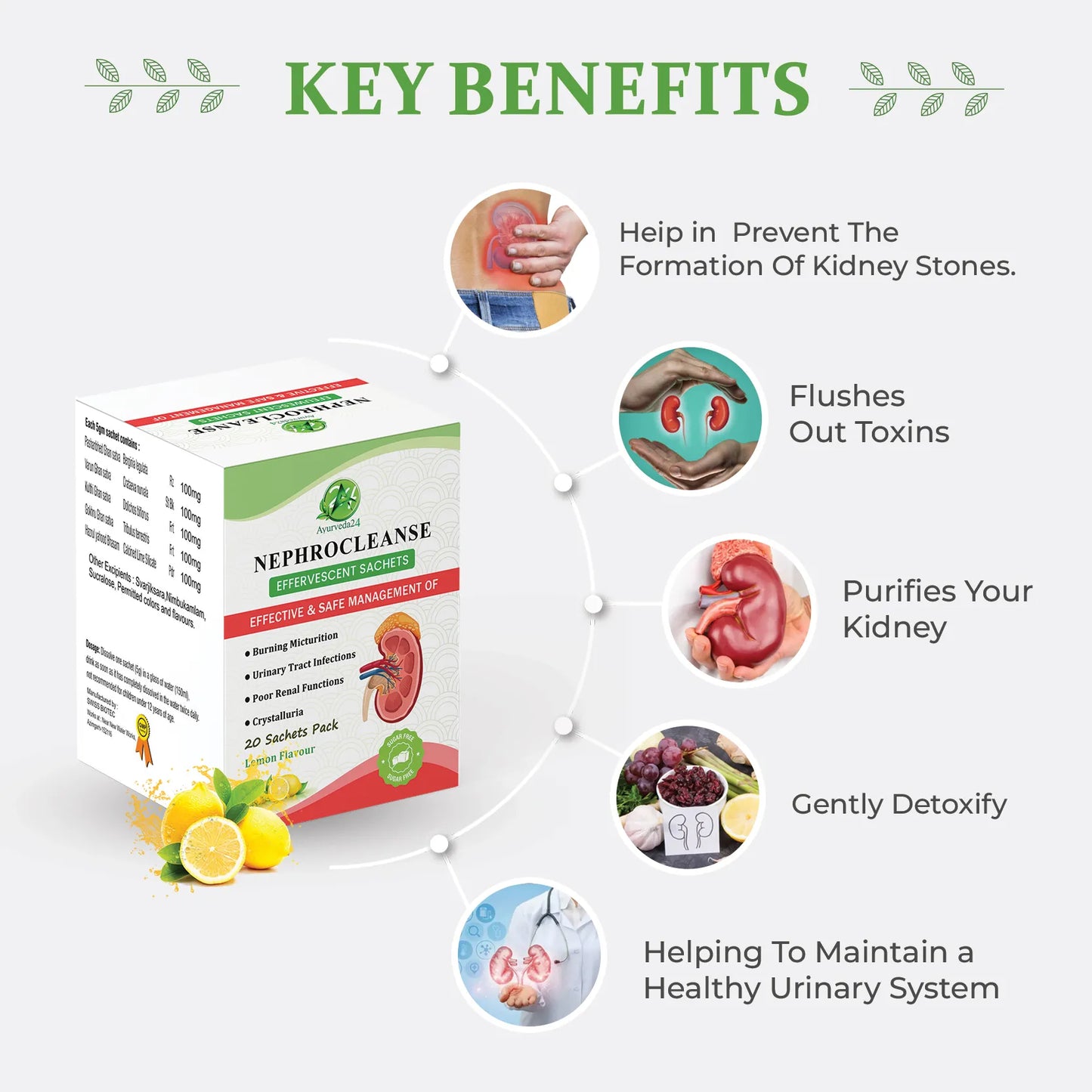 Nephrocleanse Key Benefits