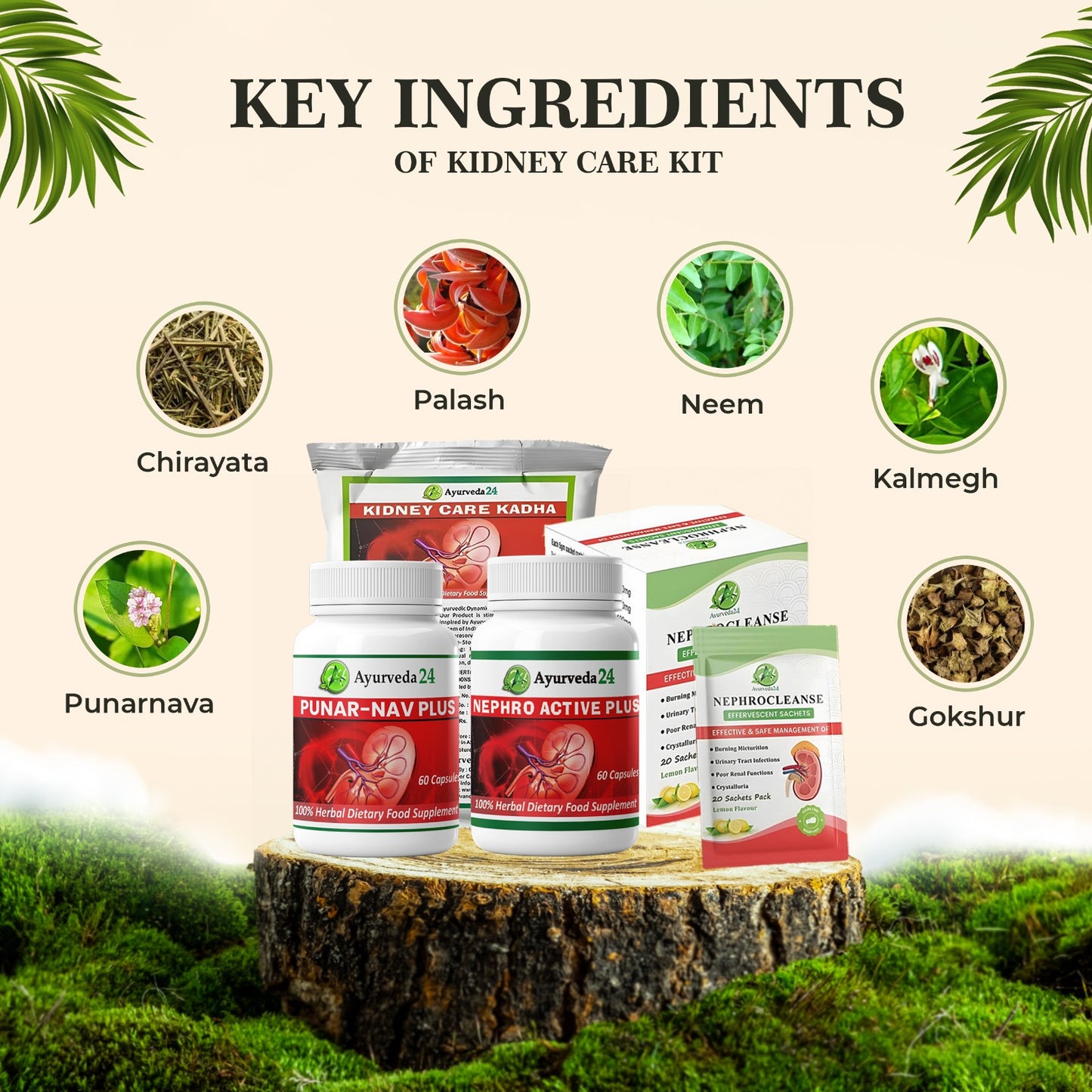 Key Ingredients of Kidney care kit