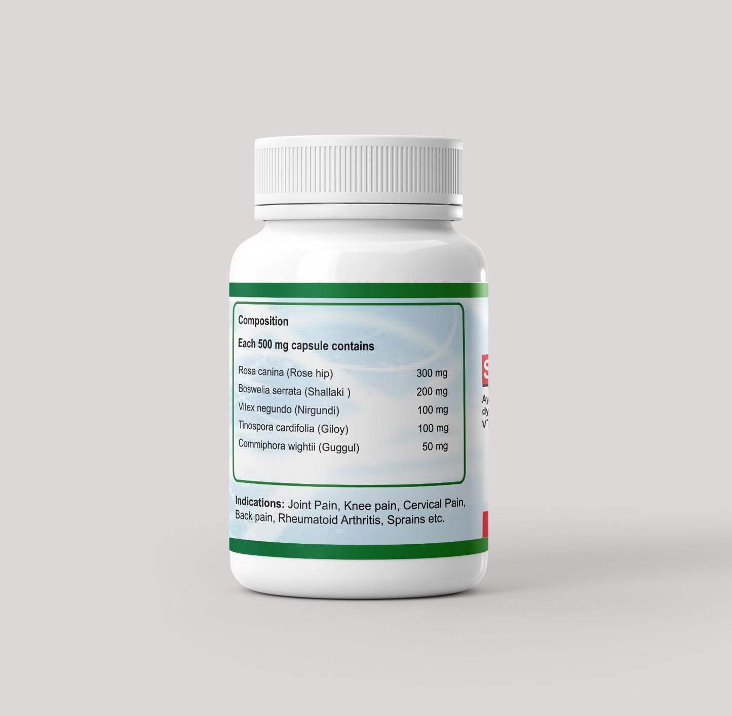 Best Ayurvedic Treatment for Joint Pain