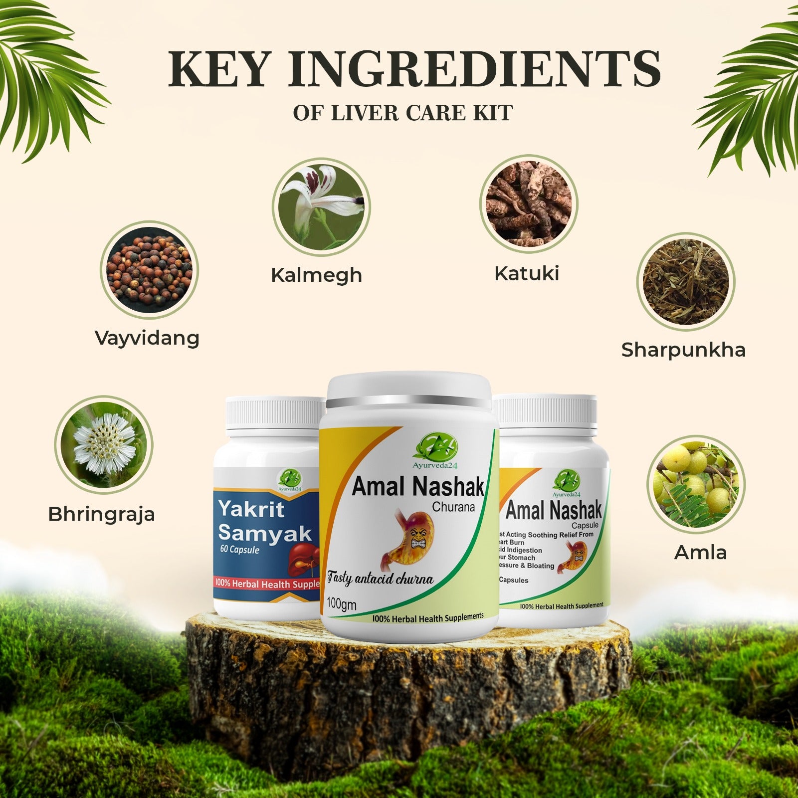 Key Ingredients of Liver Care Kit