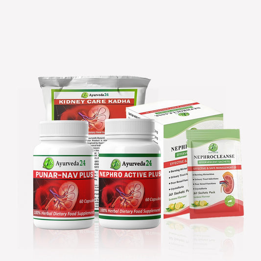 Kidney Kit Kidney – Best Ayurvedic Treatment for Chronic Kidney Disease | Ayurveda24