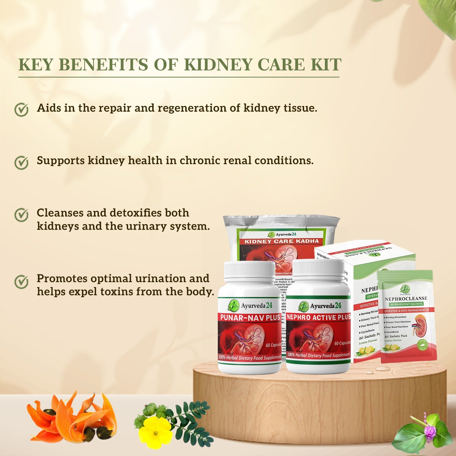 Key Benefits of kidney care kit
