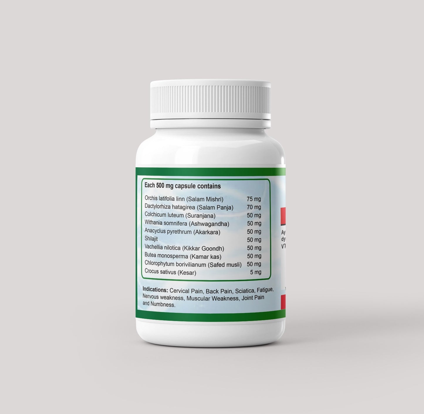 Lumbo Care - Ayurvedic Treatment for Musculoskeletal Disorders
