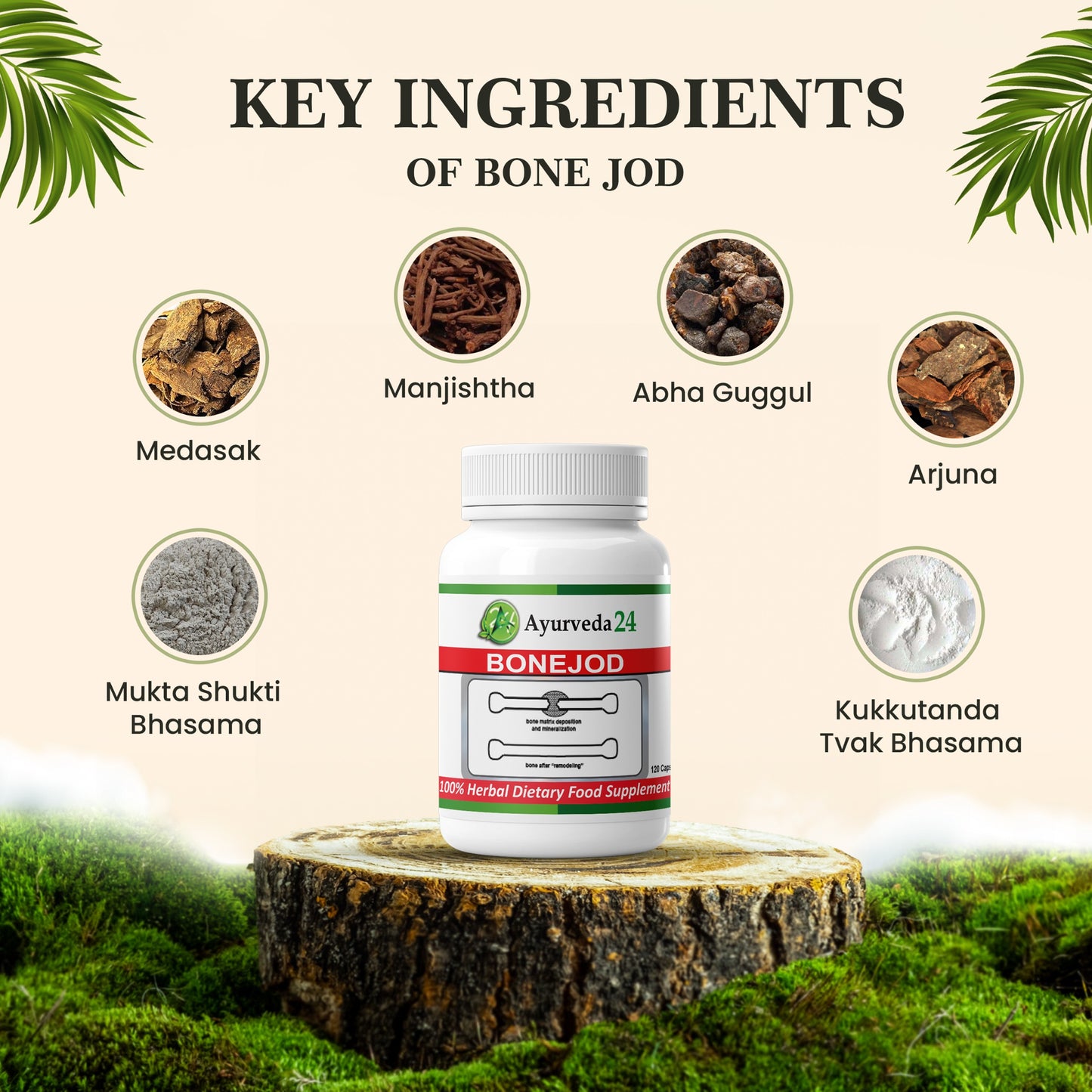 Bonejod Capsule - Ayurvedic Medicine For Muscle & Bone Health